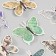 Butterflies cardboard "newspaper" set 12 pcs h = 4-10 cm