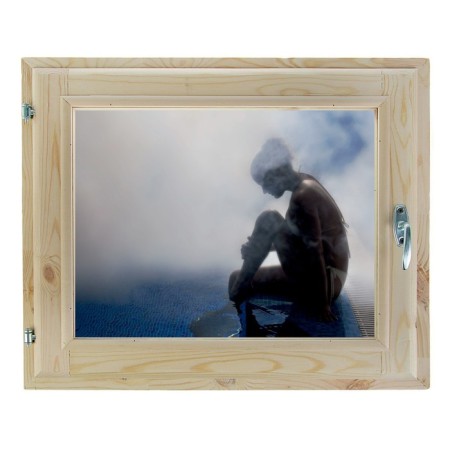 Window 40x60 cm, "relaxation", single -chamber double -glazed window, seal, needles
