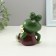 Figure "Frog with chamomile" 7x9.5x11.5cm