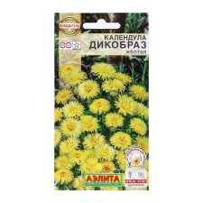 Calendula flowers 