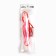 Chemical light source 15cm, pink