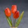 Flower flower "tulip" 3 flowers, small onyx