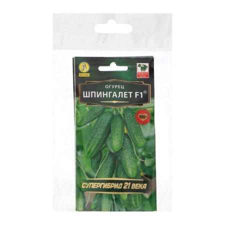 Cucumber "Spingalet" F1, parthenocarpic, set of 5 pcs-2