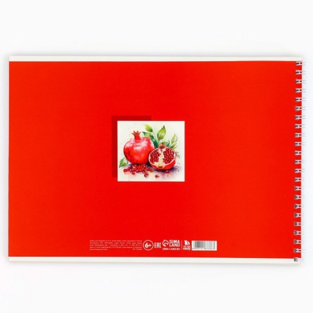 Album for drawing A4 32 sheets on the spring "September 1: Pomegranate"-4