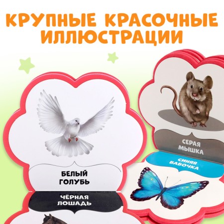 Soft book EVA "Learning Colors", 12 p.-3