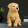 Garden figure "Labrador puppy" 17x12x20cm