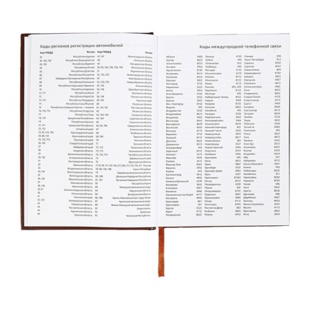 Dated diary 2024, A5, 176 sheets, Attomex.orion, Bumvinyl cover, Lasse, Blok 70 g/m2, brown-9