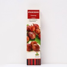Gooseberry 