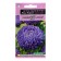 Flower seeds Astra Pink "Lady Coral", dark blue, one-year-old, 0.05 g