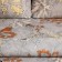 Bed linen saving and 2 joint venture "Harmony" 173x215 cm, 175x214 cm, 50x70 cm-2pcs, 60 g/m2, microfiber