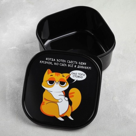 Lancer-Box "Cat", 700 ml-1