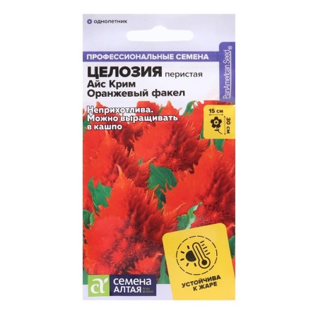 Flower seeds CEELSIA IS IS CRIM "Orange torch", Curricular, this. ALT, c/n, 10 pcs