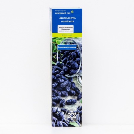 Edible honeysuckle (Northern Garden series) "Baryshnya", 1 pc, tube, spring 2024