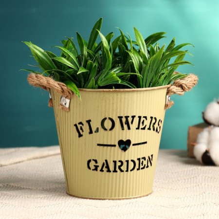 Kashpo "Bucket Flower Garden" Green, 13x13x12cm