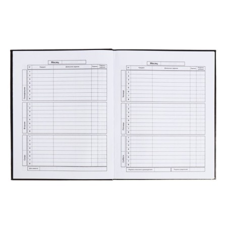 School diary for grades 1-11 "Leo", covered cardboard, glossy lamination, embossing foil, universal cheat sheet, 48 sheets, block 65g/m2-7