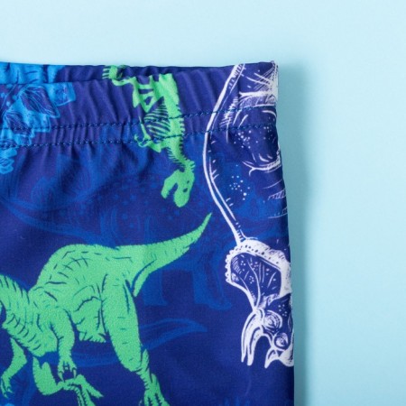 Bathing swimming trunks for the boy KAFTAN "Dinosaurs" Height 110-116 (32), Blue color-2