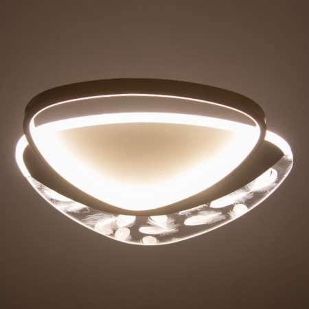 Chase with DNO "Malva" LED 120W 3000-6000K white-gold 50x45x7 cm Bayerlux-4