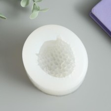 Mold Silicon 3D 