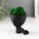 Kashpo concrete mini "Mr. Green" Ivazaru with moss black 5.5x6.5x6.5 cm (moss green stabil.)