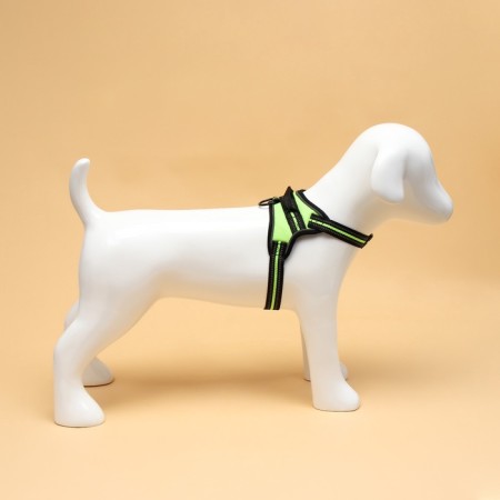 Cloll improved K7 soft reflective, size m, og 52-66 cm, weight 9.5-17.5 kg, green-3