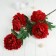Artificial flowers "Kustovo peony" 5 buds 15x110 cm, red