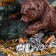Souvenir "Bear on fishing", 10x15x10 cm, coil, gypsum, minerals