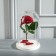 Glass dome -slosh on a wooden stand "Vincent - 1", 25x15 cm, white