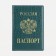 Cover for passport, green color