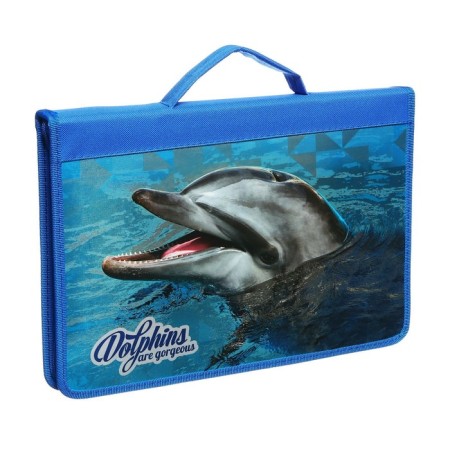 A4 labor folder, with handles, lightning around, laminated cardboard, 81TR44, calligrata, "dolphin"-1