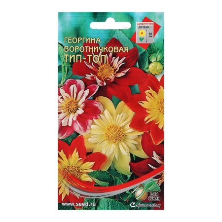 Flowers of Georgina Gorgovka, 15 pcs