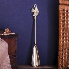 Spoon for shoes 