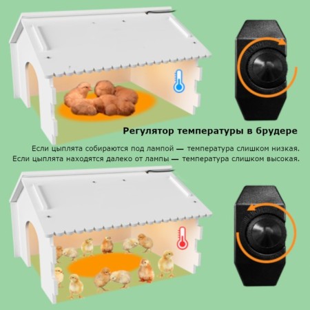 Janoel 3040 Bruder for chickens with power regulator-7