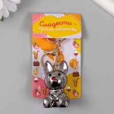 Caraboda carabiner 