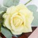 Artificial flowers "Rosa Terition" 12x60 cm, yellow