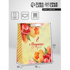 Package Gift Vertical 