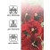 Viola seeds "Red wine", 0.1 g