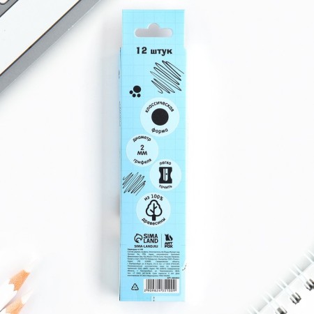 Pencil is a simple blacks -granographic without an eraser "Be like a panda"-4