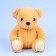 Napchik children with a soft toy "Bear"
