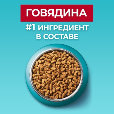 Dry food Purin One for sterilized cats, beef/wheat, 750 g-4