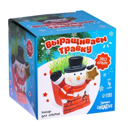 Set for experiments “grow grass”, snowman-6
