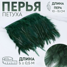Braid with feathers of a rooster, 10-15 cm, 5 ± 0.5 m, emerald color