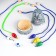 Board game children's "cat mouse", gray cat