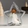 Souvenir Polystone Suspension "Angel on the Star" Silver Wings 4.5x11x11 cm