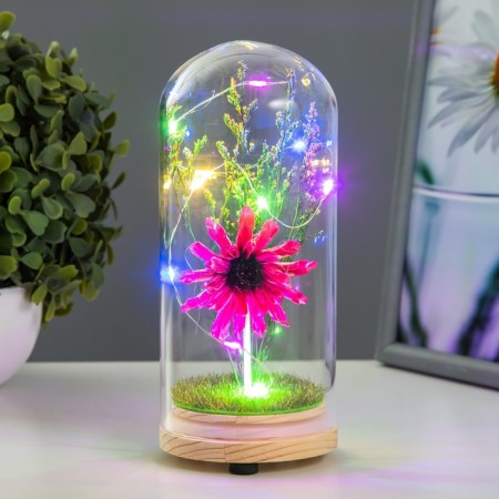 Night -night flask "Flower" LED from batteries LR44 mix 8x8x19 cm Risalux-2