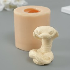 Mold Silicon 