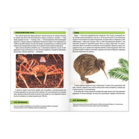 Mini-encyclopedias set of animals, 6 pcs. 20 p.-5