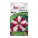 Petunia Seeds "Mon Amur" Estelle F1, erect star, white and purple 5 pcs