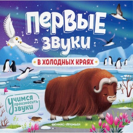 В холодных краях