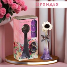 Set of gift 