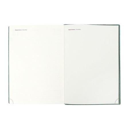 Dated 2025 diary, Escalada, A5+ 176 sheets, integral cover, artificial leather, foil embroidery, lies, block 80 g/m2, green block-12